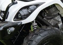 ARGO XPLORER XR 150 2X4 WH